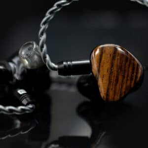 Custom In-Ear Monitors - Image 3